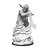 Djinni D&D Nolzur's Marvelous Unpainted Miniatures (W13)