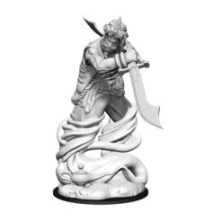 Djinni D&D Nolzur's Marvelous Unpainted Miniatures (W13)