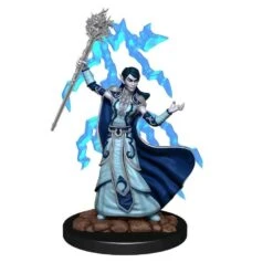 Elf Wizard Female D&D Icons Of The Realms Premium Figures (W4)